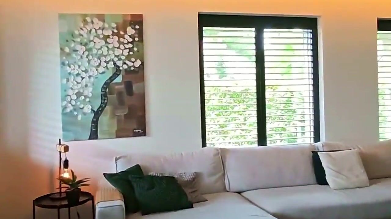 Video of Pr. Irenestraat 60