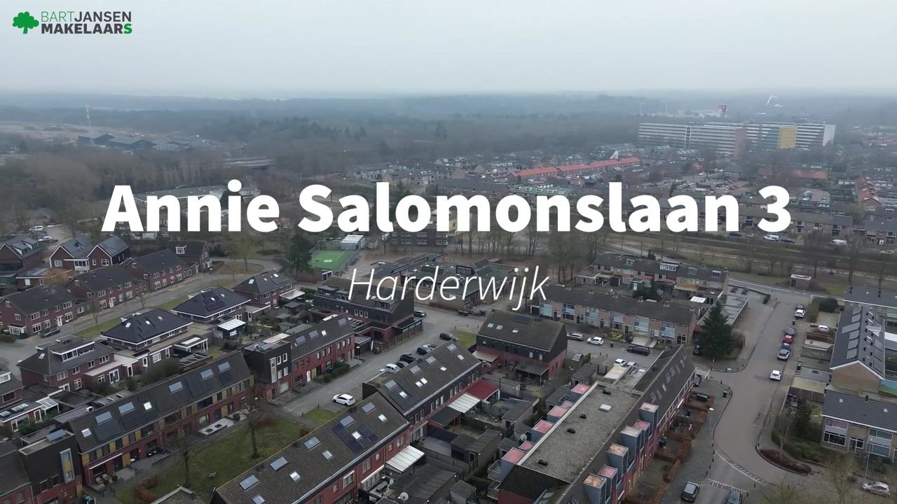 Video of Annie Salomonslaan 3