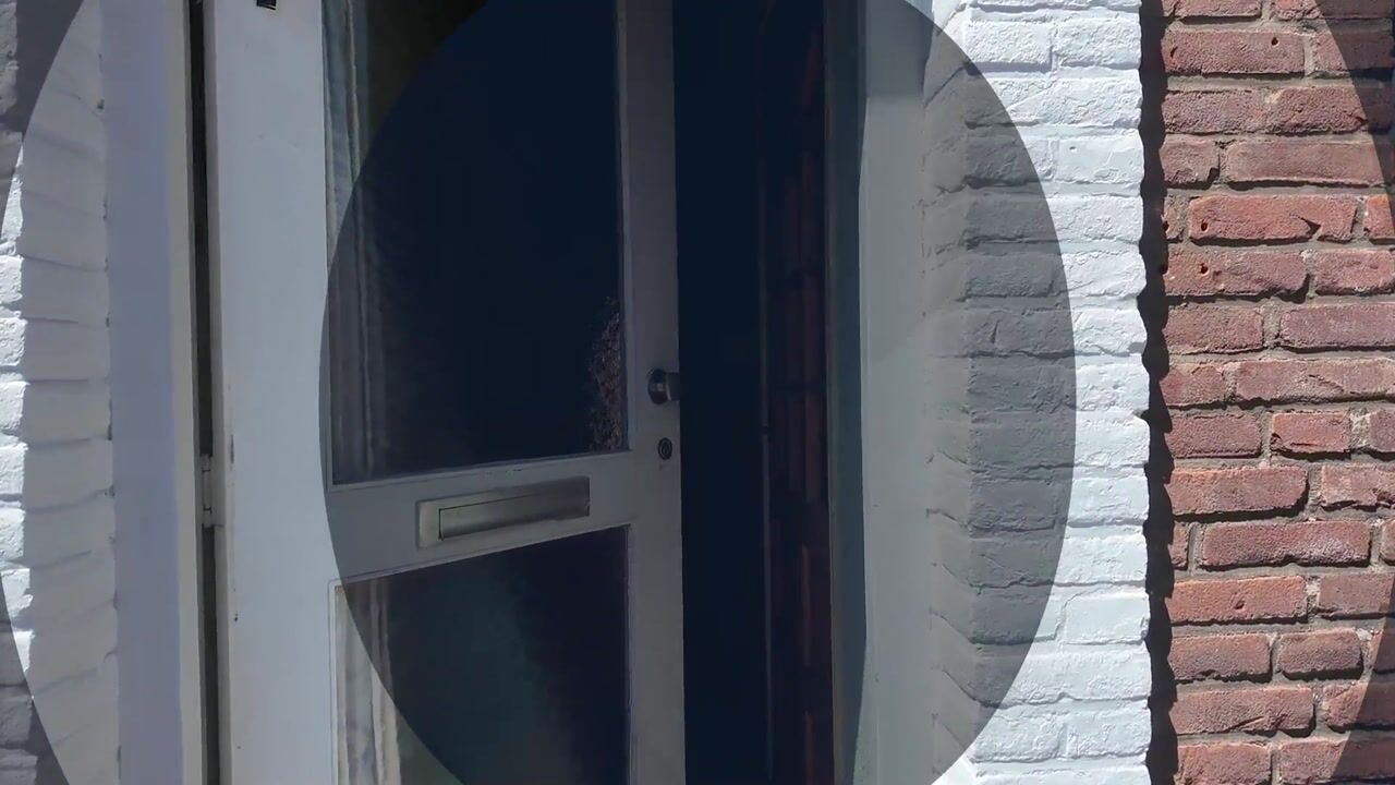 Video van Havikstraat 23