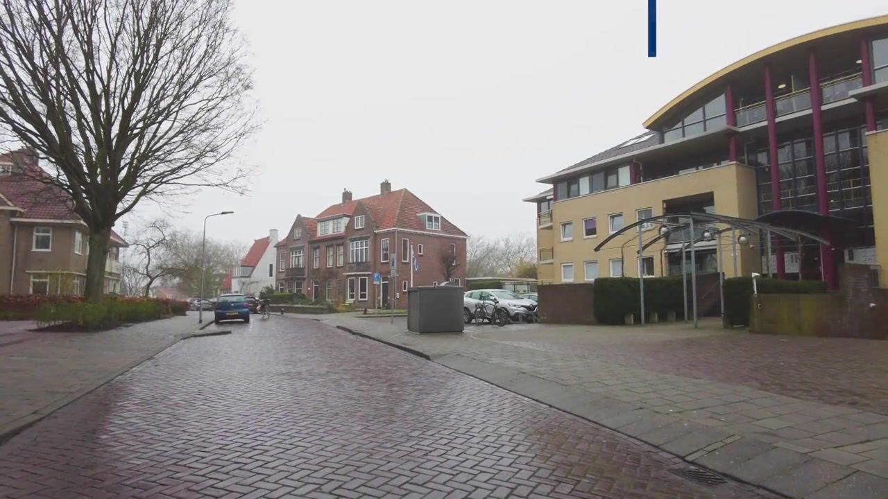 Video of Ravelijn de Groene Jager 54