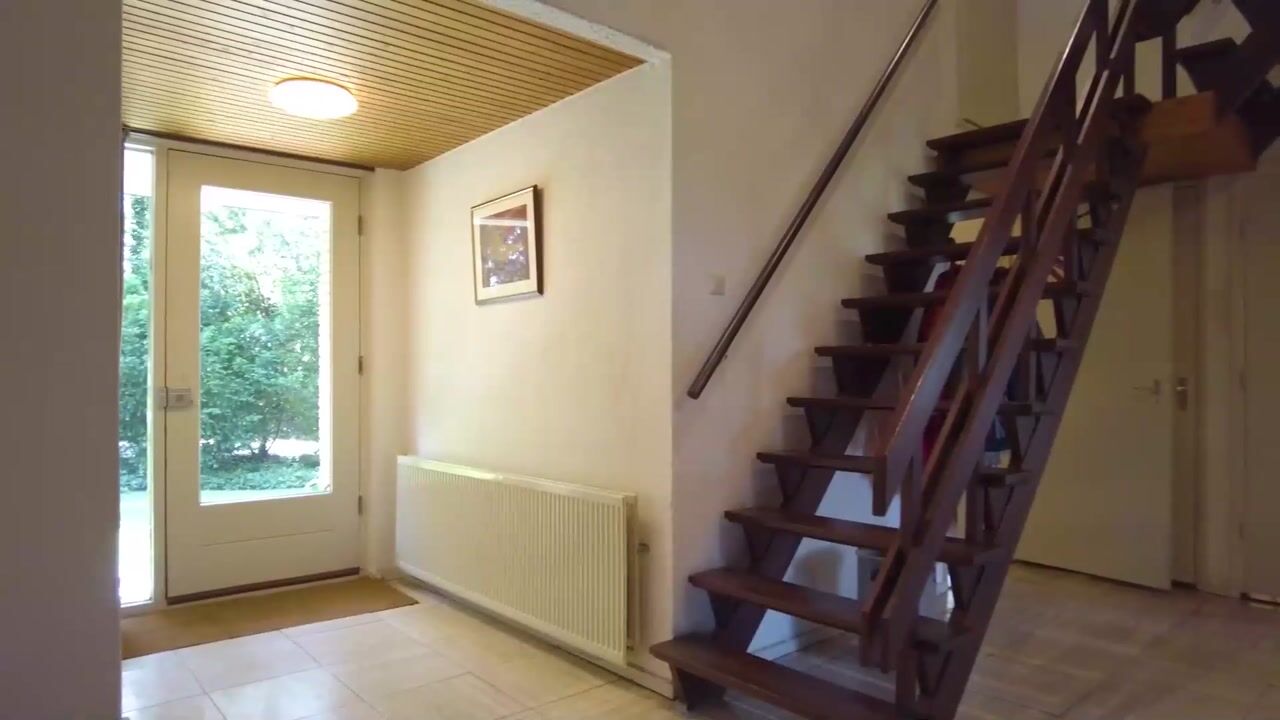 Video of Looërmark 19