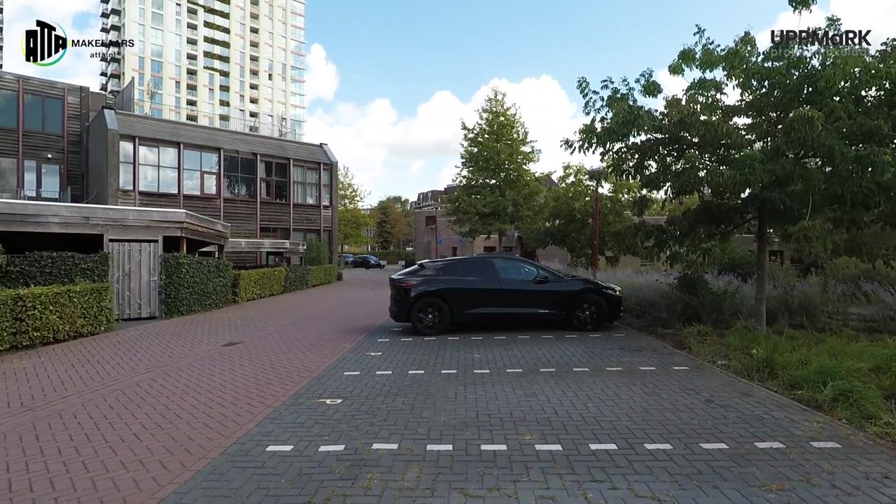 Video van Geelgors 1-10