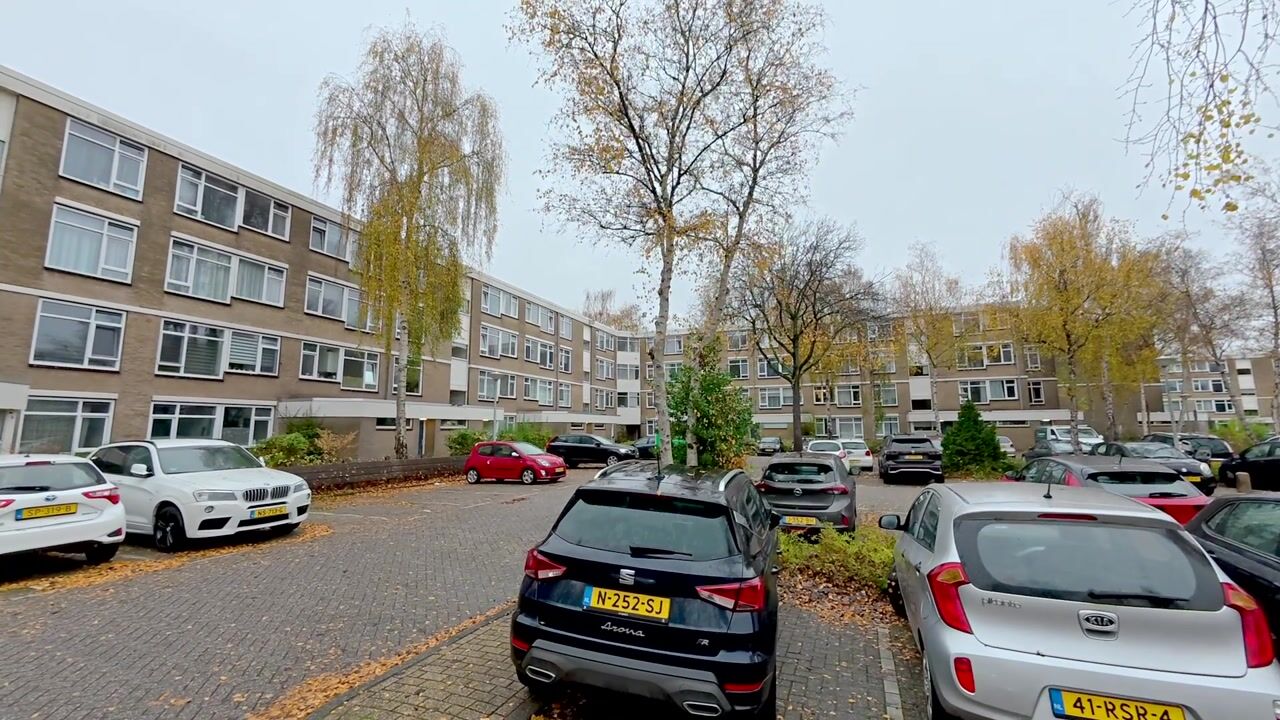 Video of Midscheeps 19