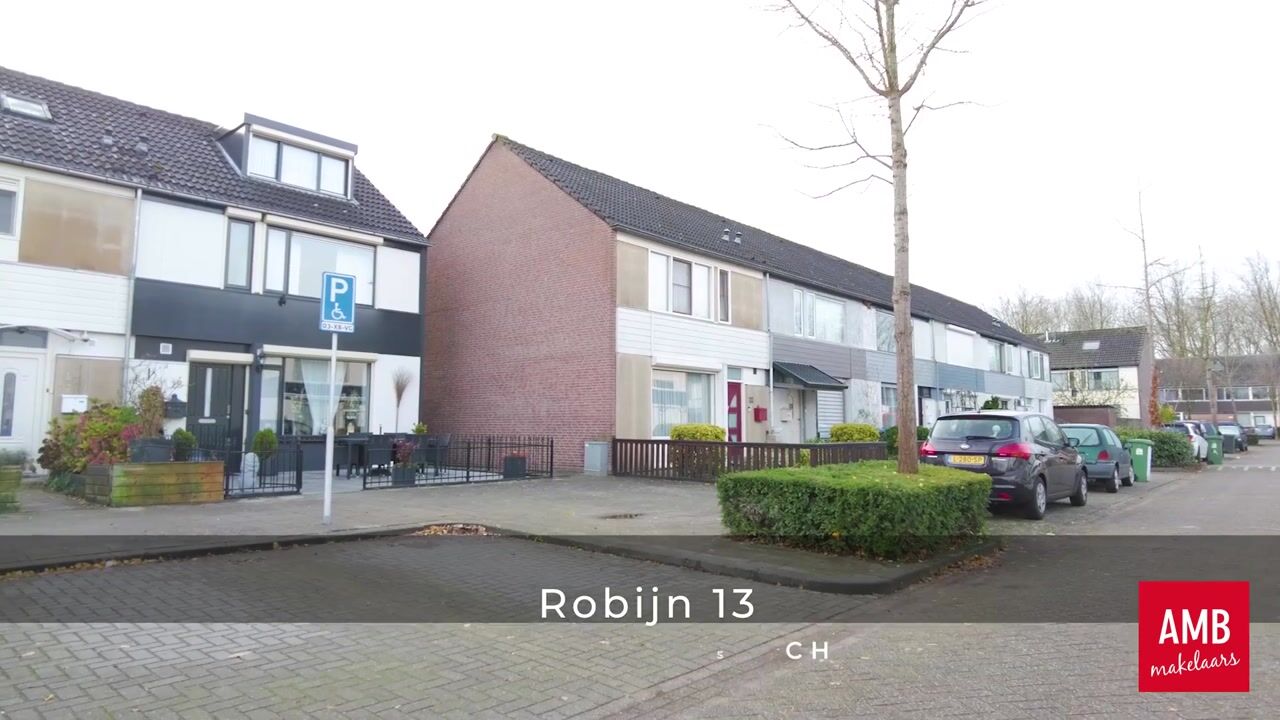 Bekijk video van Robijn 13