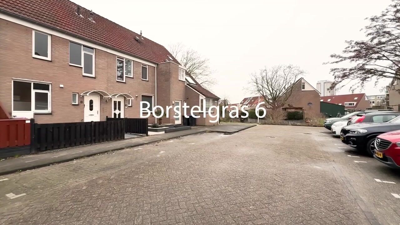 Video van Borstelgras 6