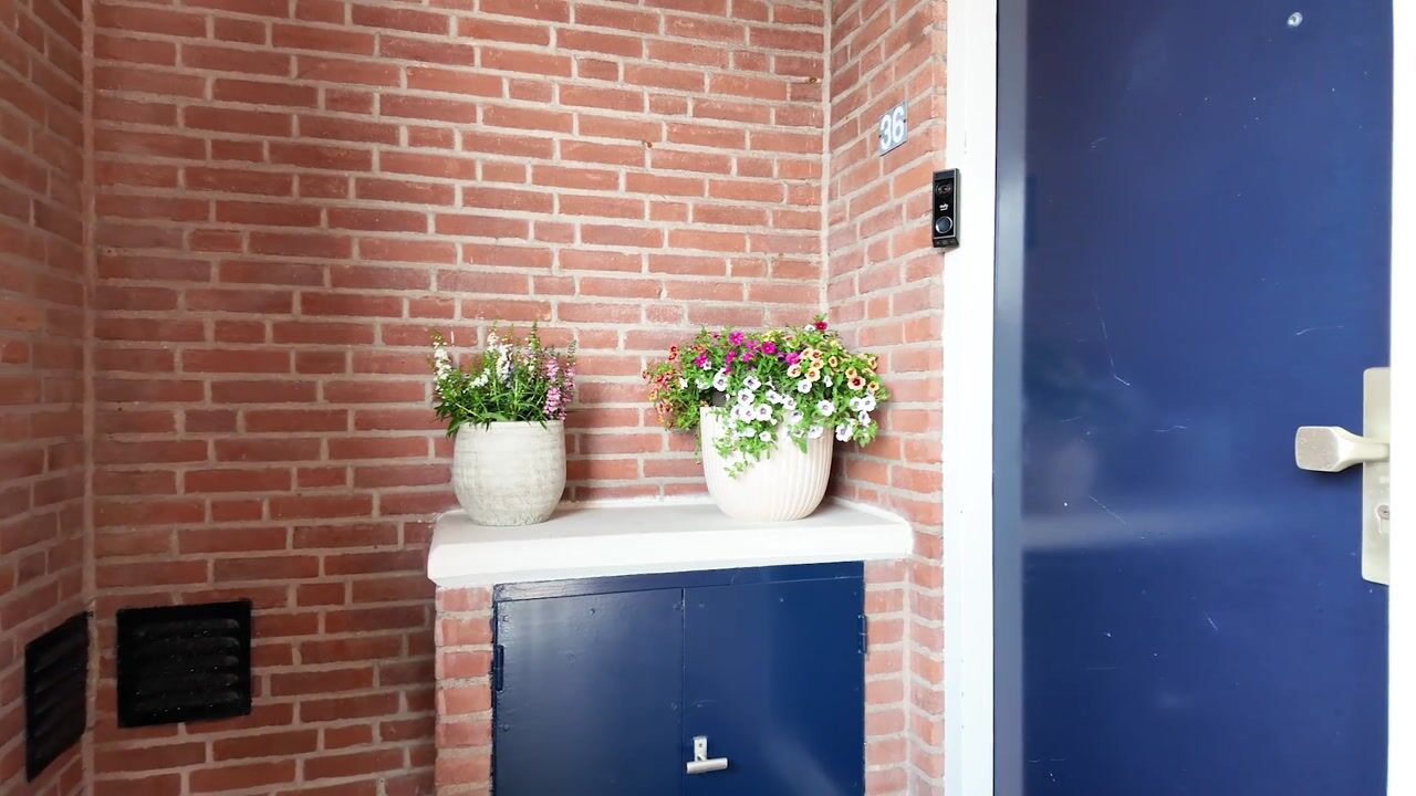 Video van Hekbootkade 36