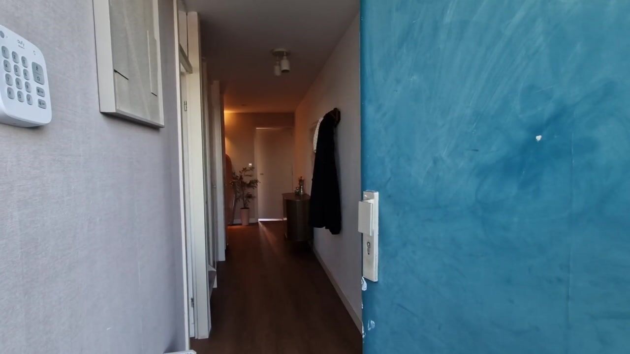 Video van Troelstrakade 839