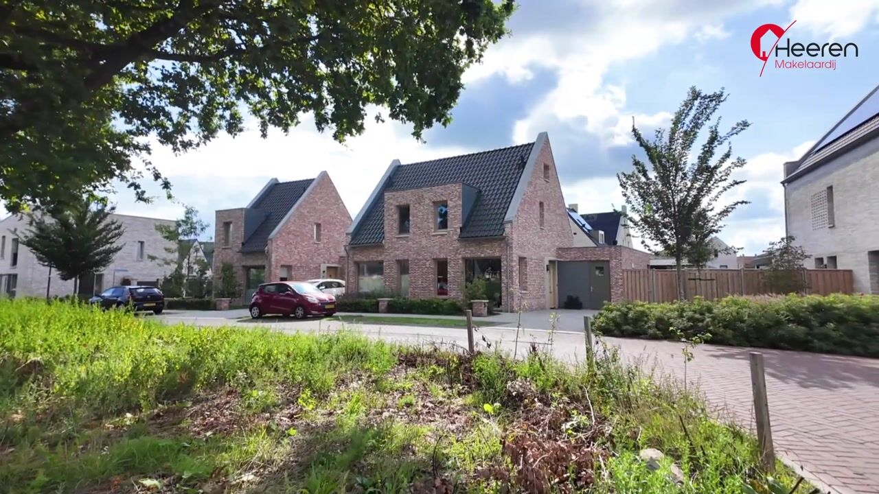 Video van Zilverschoon 38