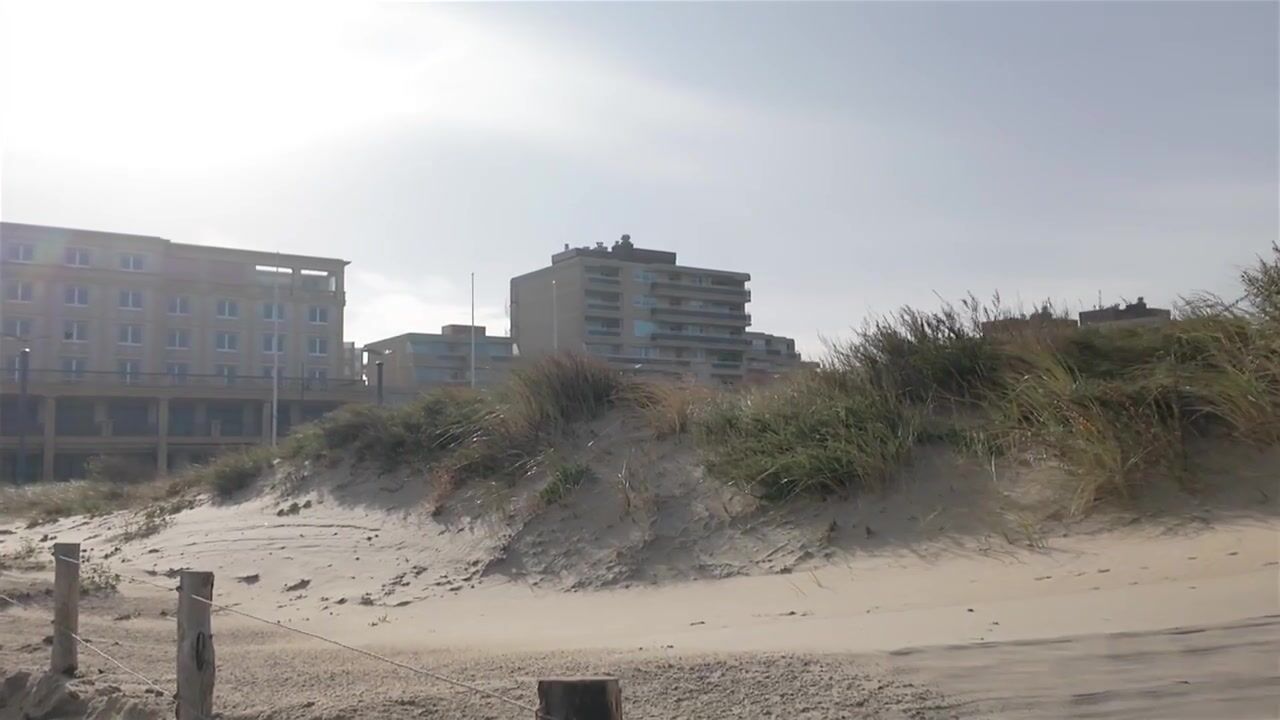 Video of Adelaert 39
