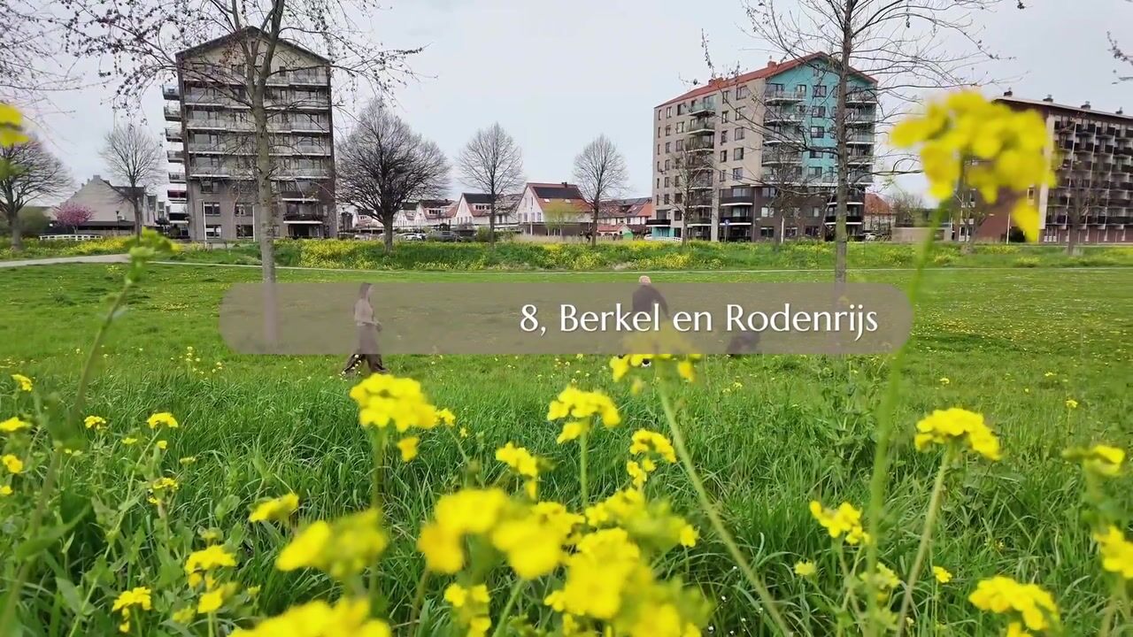 Video of Bosplaatstraat 28