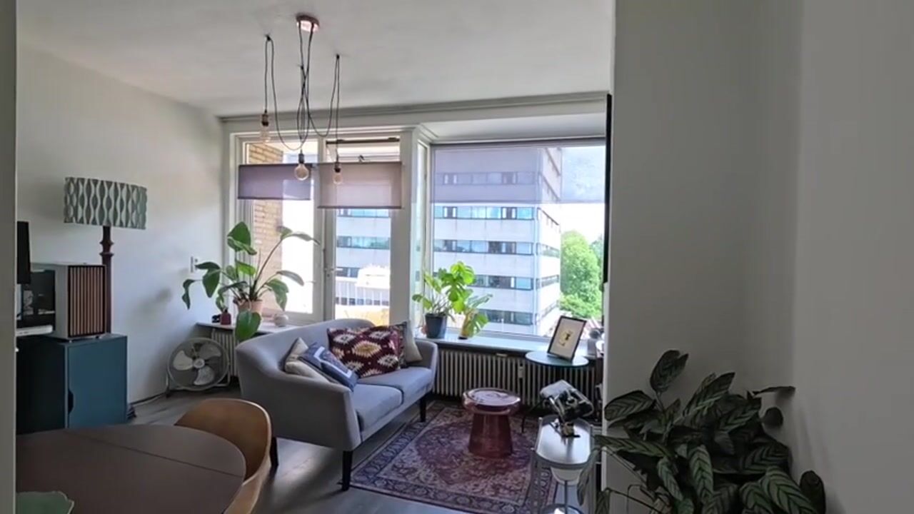 Video of Ravellaan 133