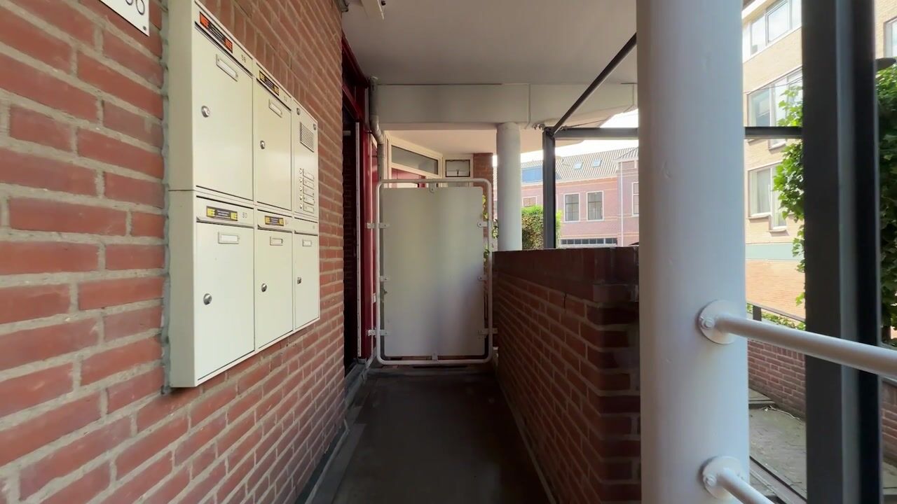 Video van Koesteeg 64