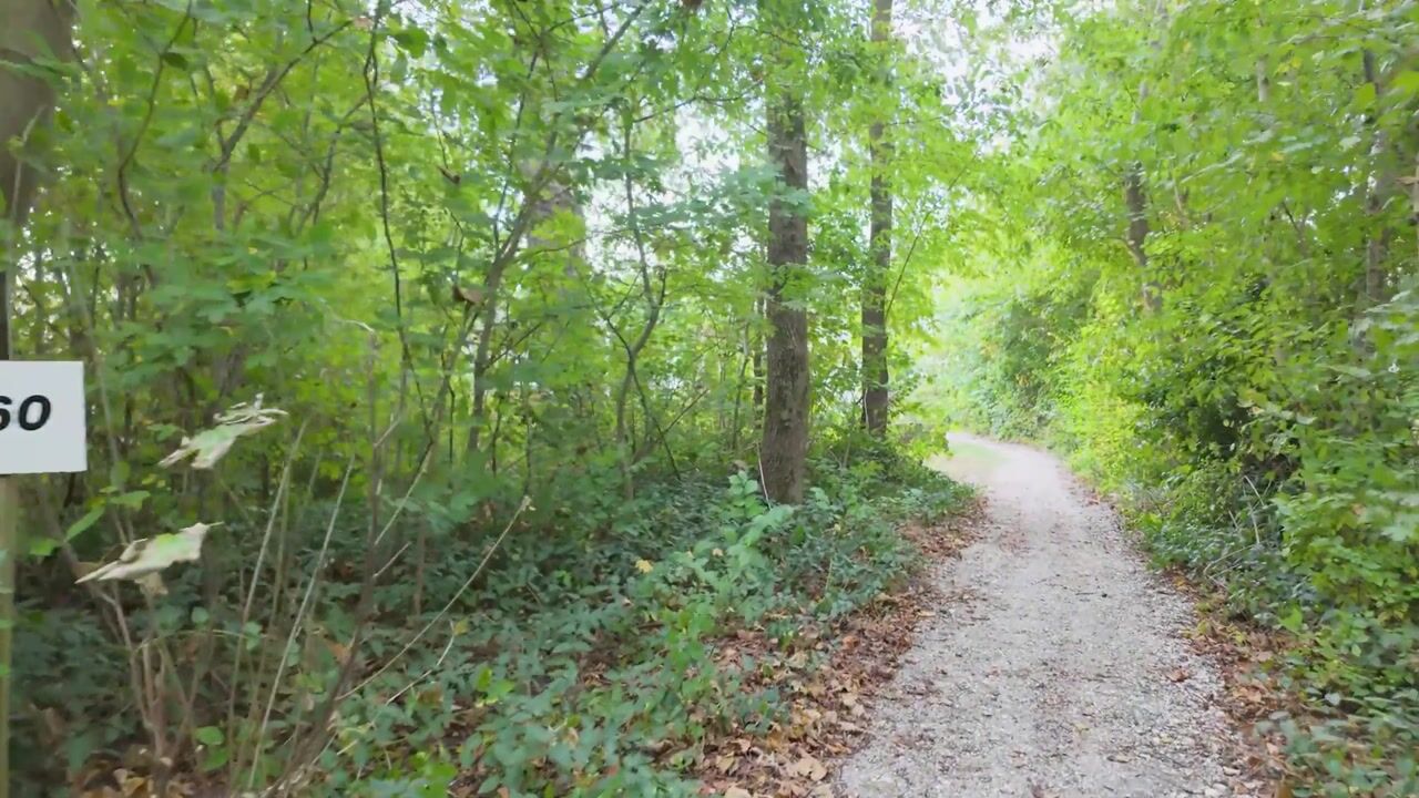 Video van Rijspolder 60