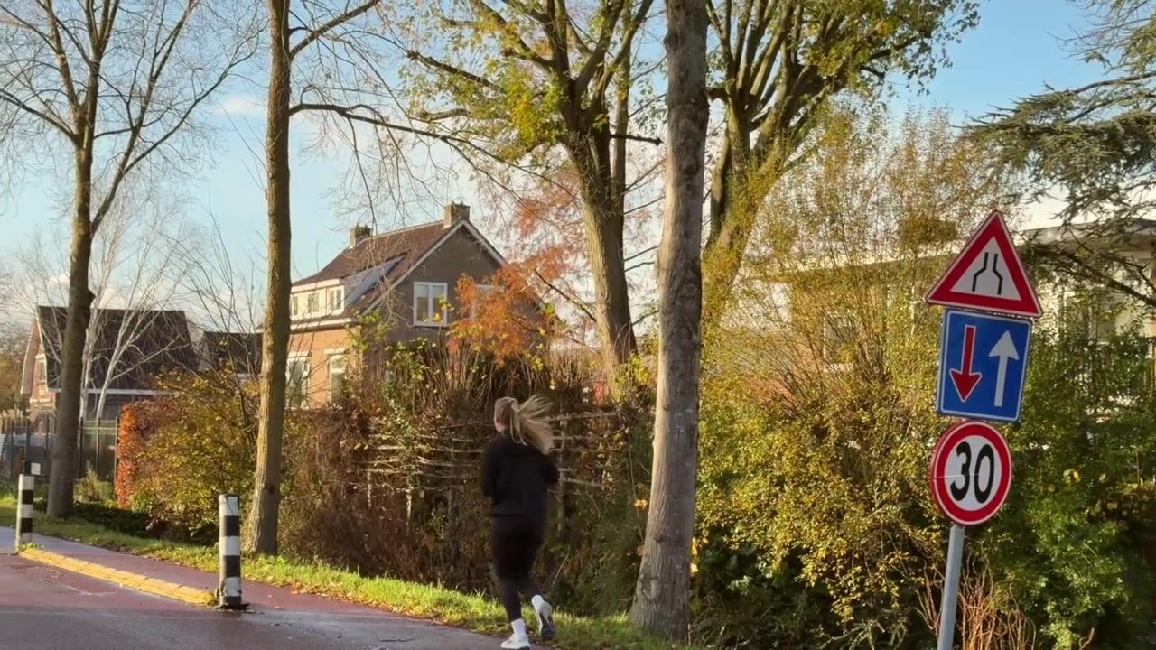 Video of Sloterweg