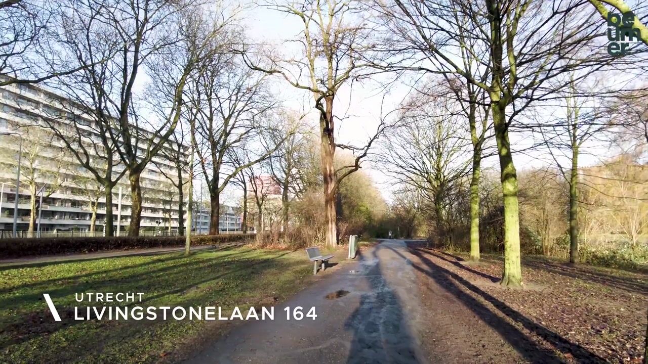 Video van Livingstonelaan 164
