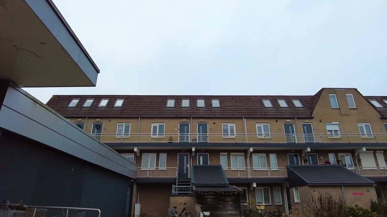 Video van Reigerskamp 607