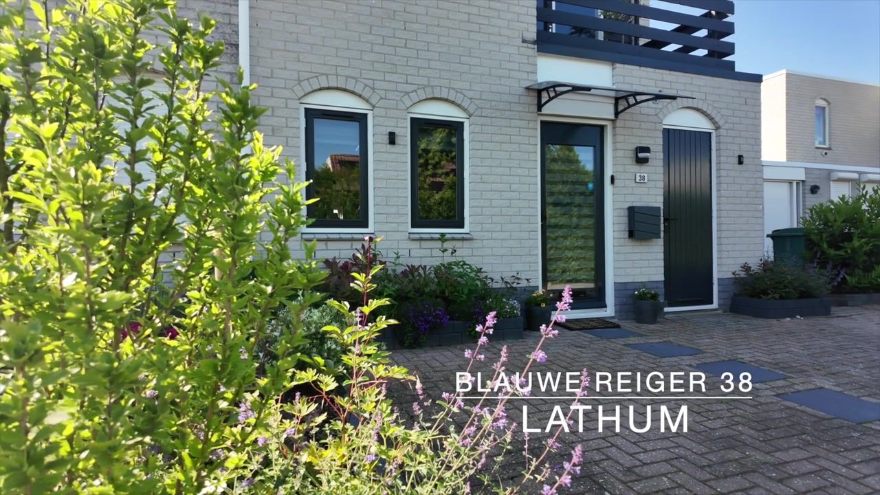 Video van Blauwe Reiger 38