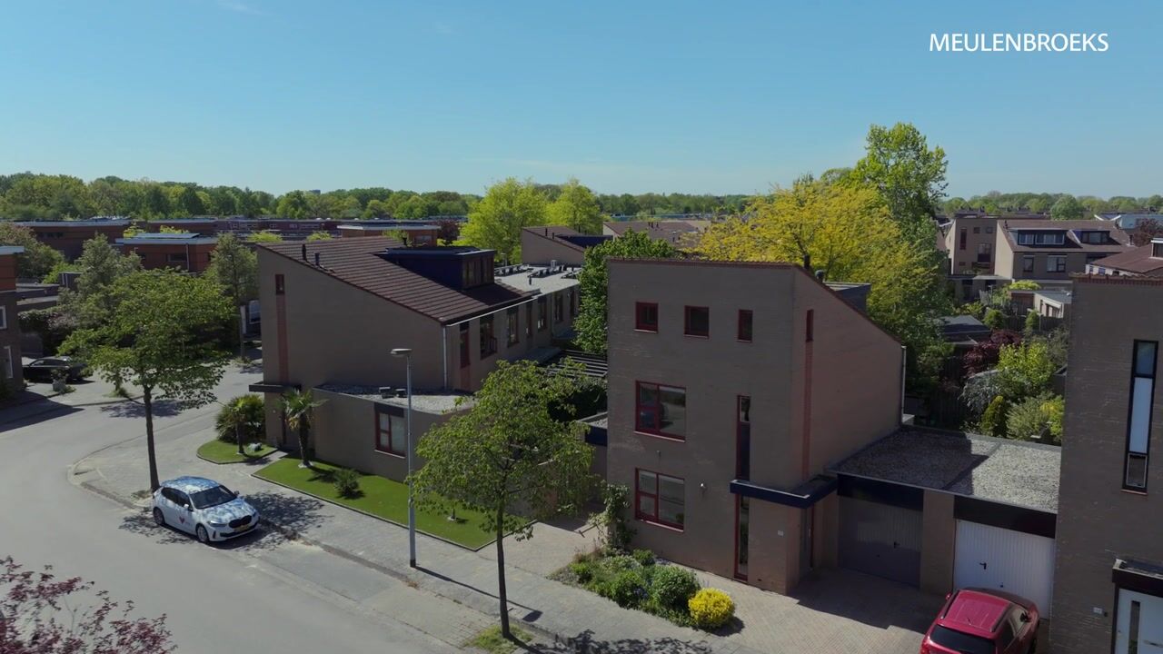 Video of Wildeman 15