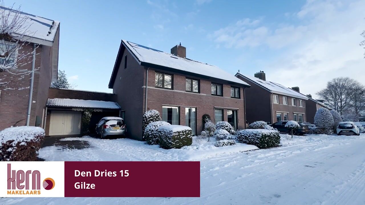 Video van Den Dries 15