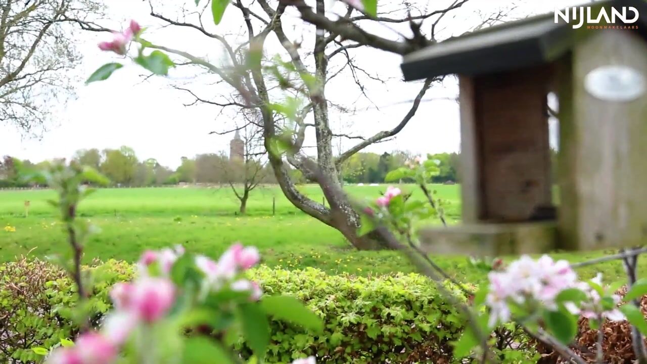Video van Jan Lievenslaan 6