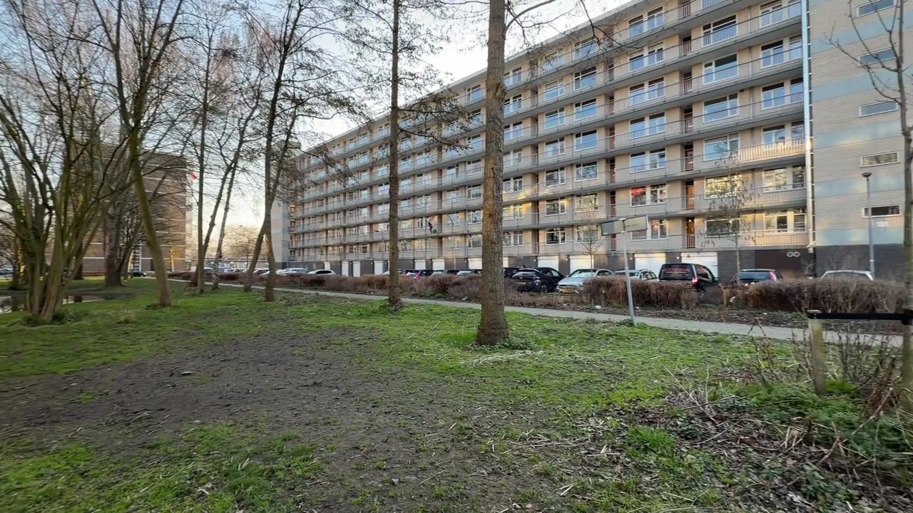 Video van Everaertstraat 309