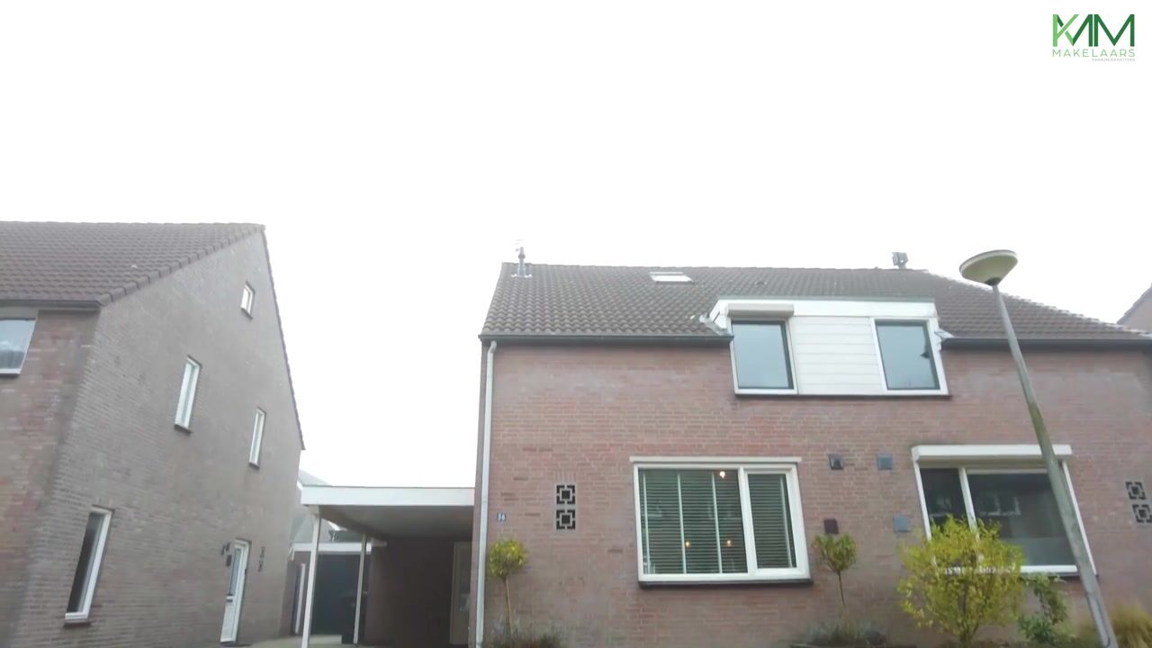 Video van Tongelreep 36