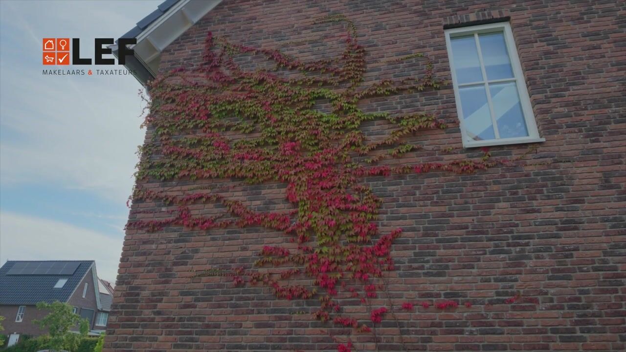 Video of Nierdolk 4
