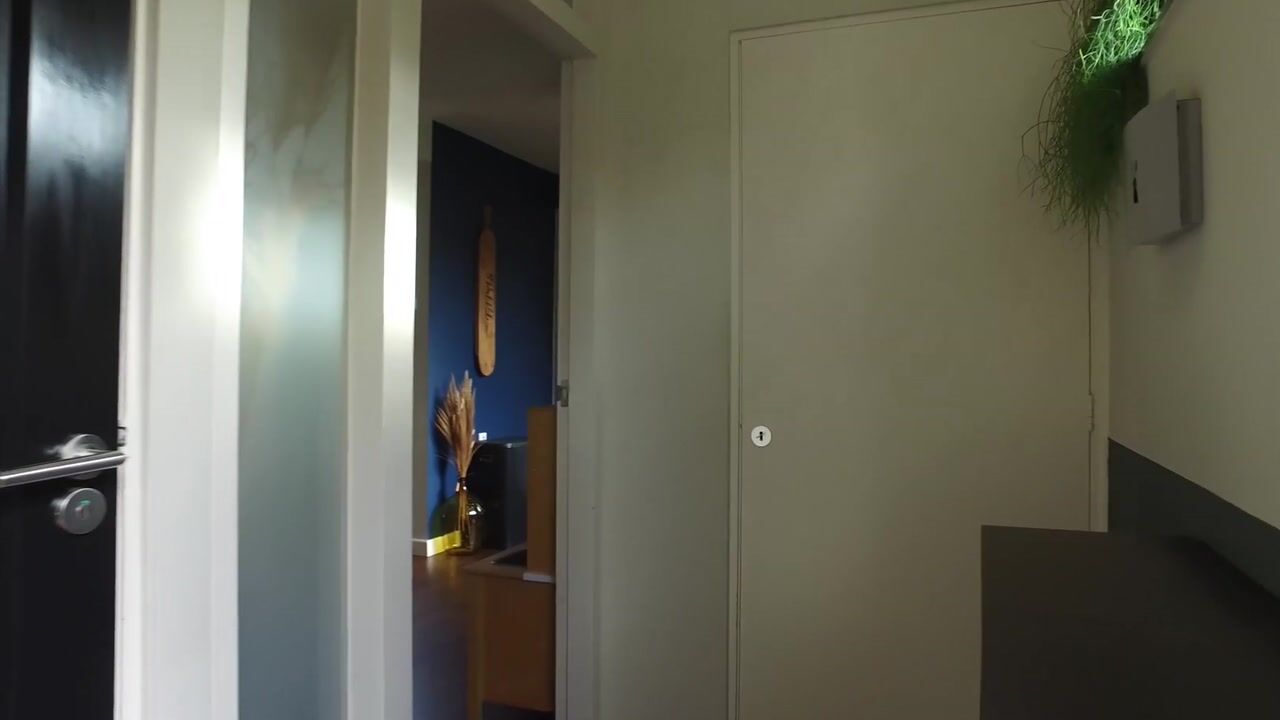 Video of van Ruysdaelweg 25