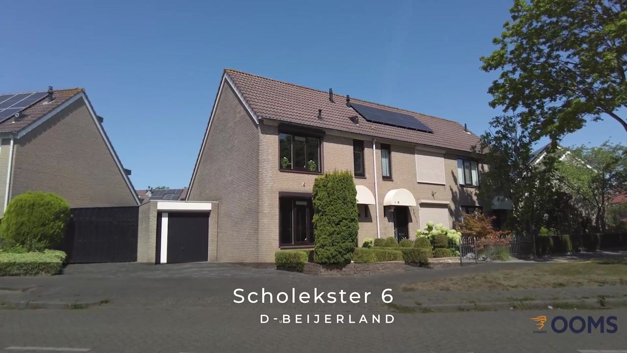 Video van Scholekster 6