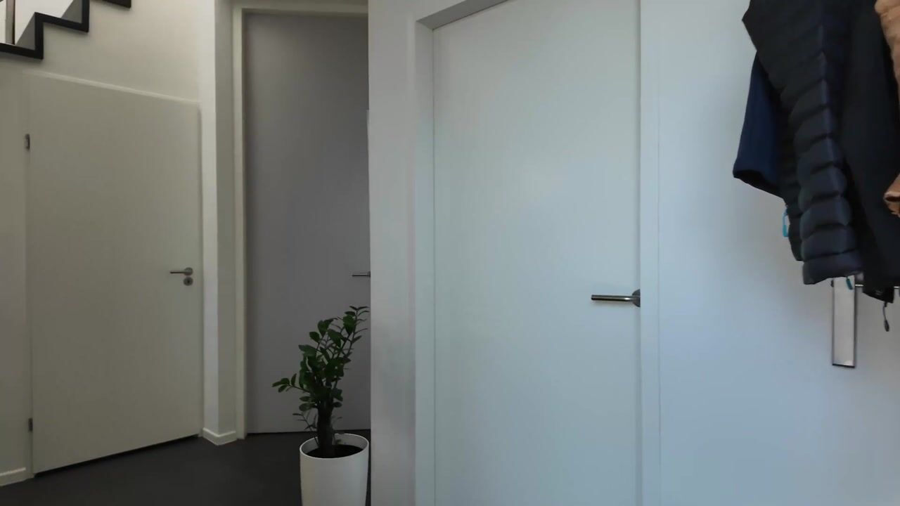 Video van Ganzenvoet 68