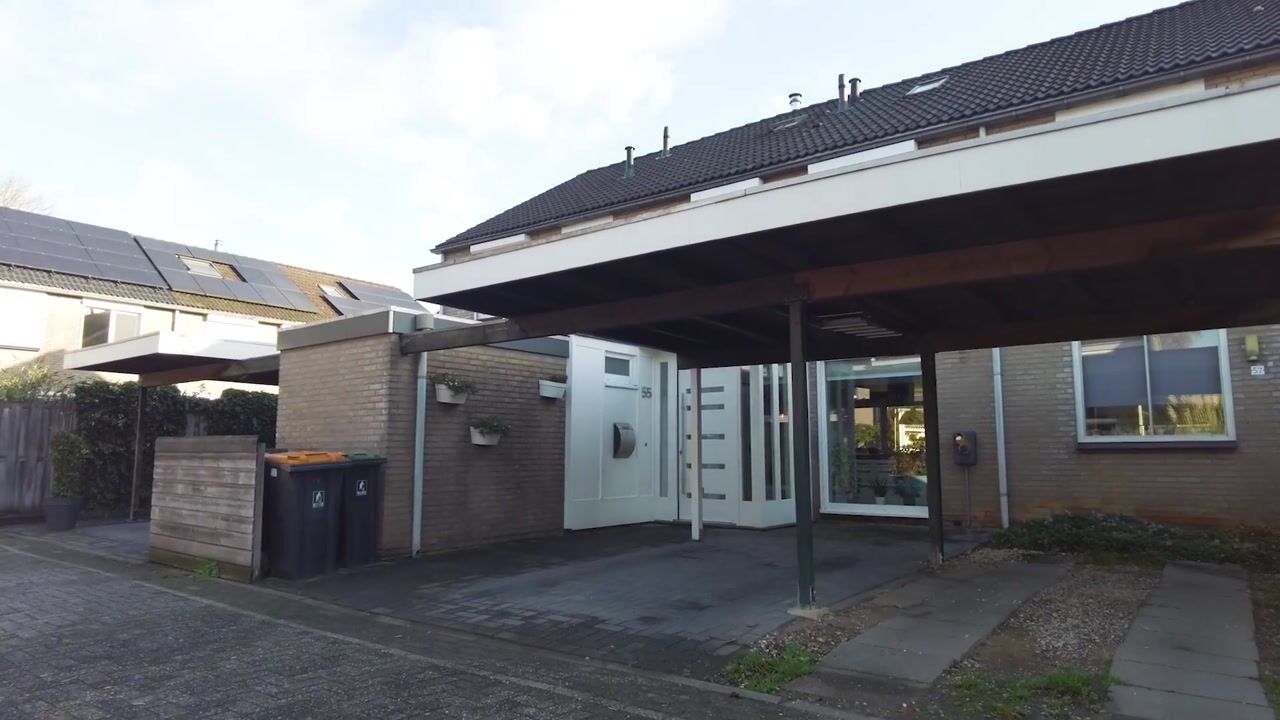 Video of Wannedreef 55