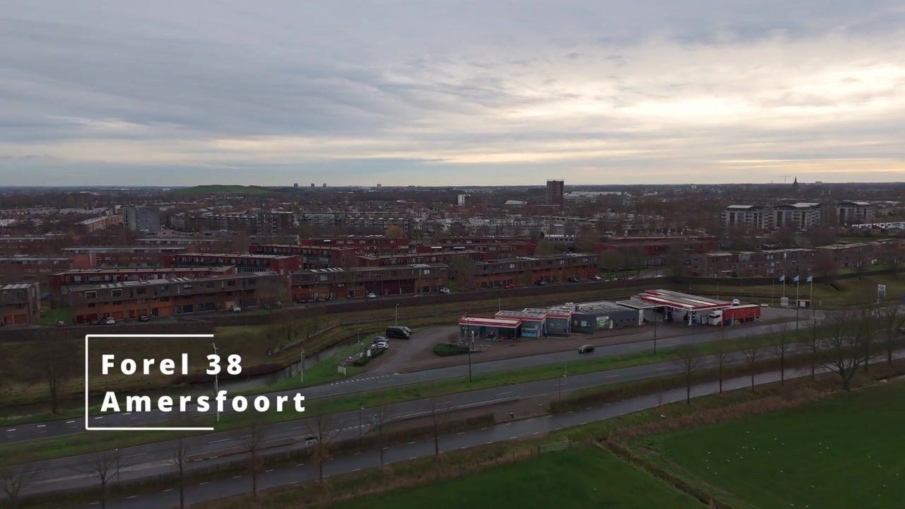 Video van Forel 38
