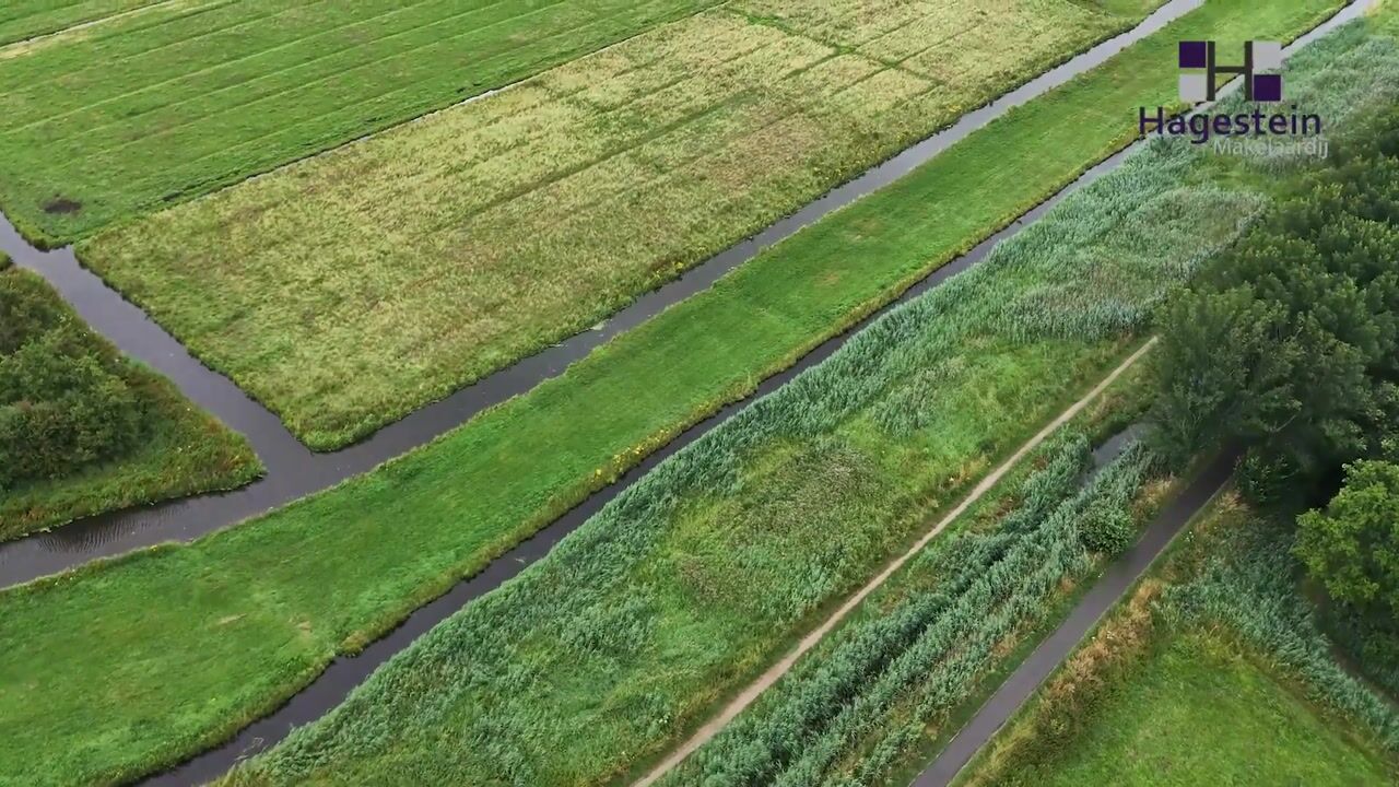 Video van Dilleveld 17