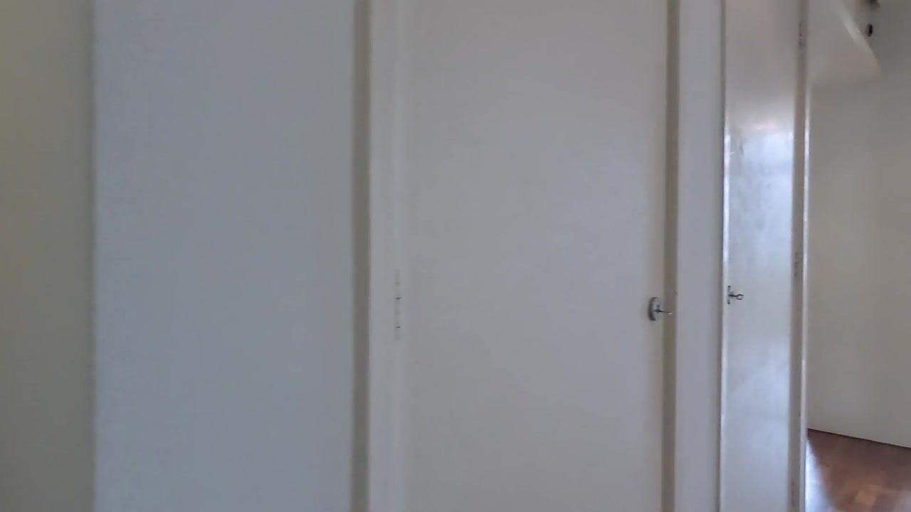 Video of Stuyvesantstraat 275