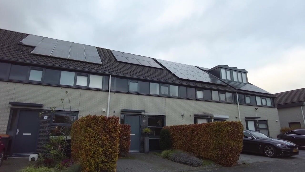 Video van Krabbenkreek 43