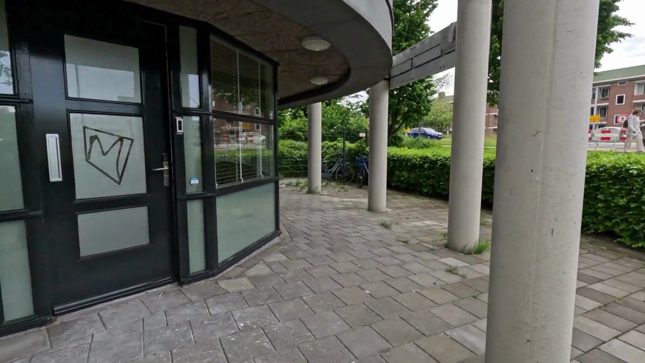 Video of Vincent van Goghlaan 141