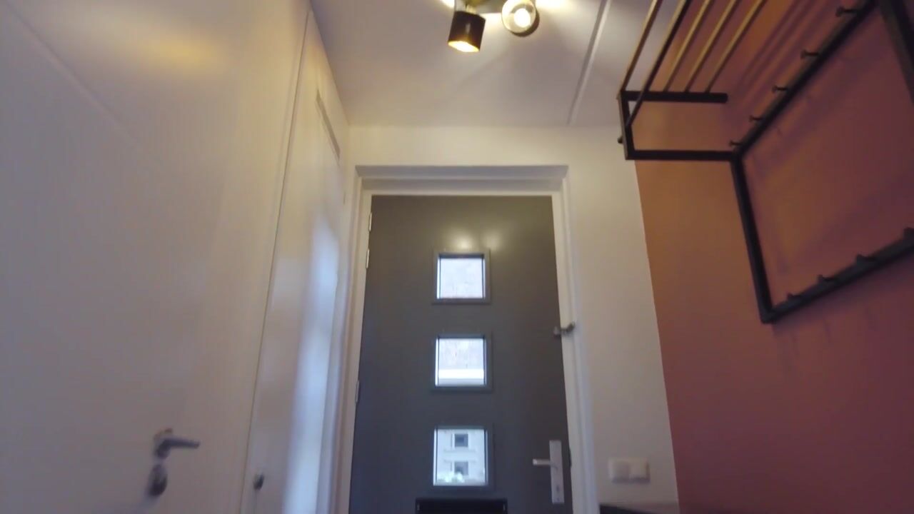 Video of Van de Ven-erf 41