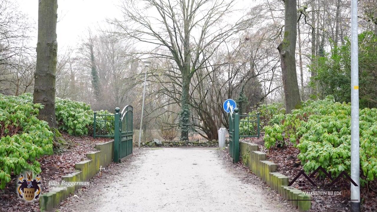 Video of Valkestein 811