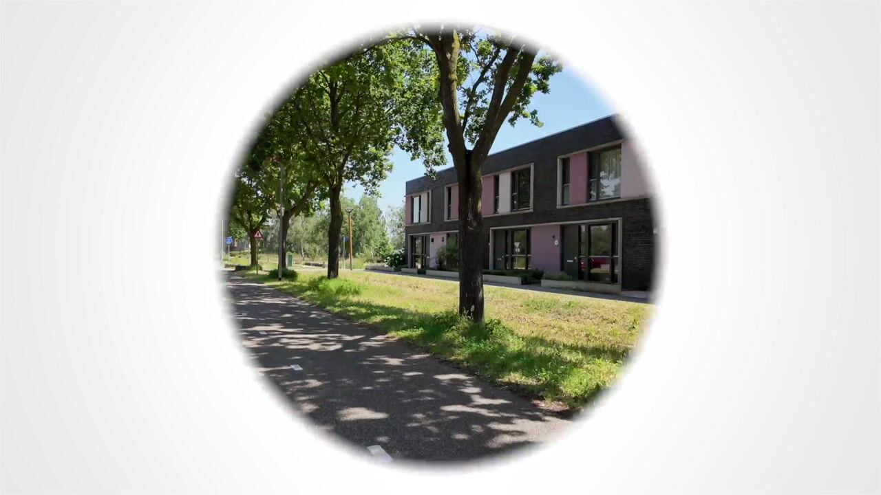 Video of Paardenbloem 41