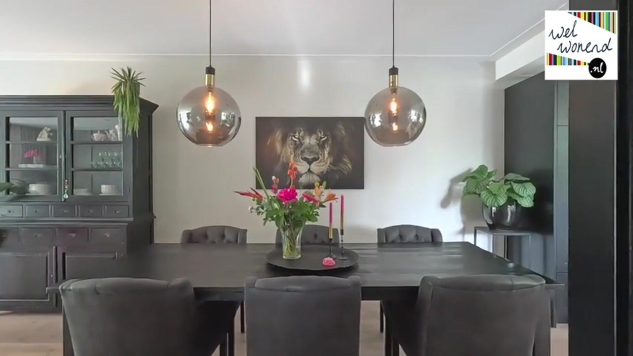 Video van Kolland 41