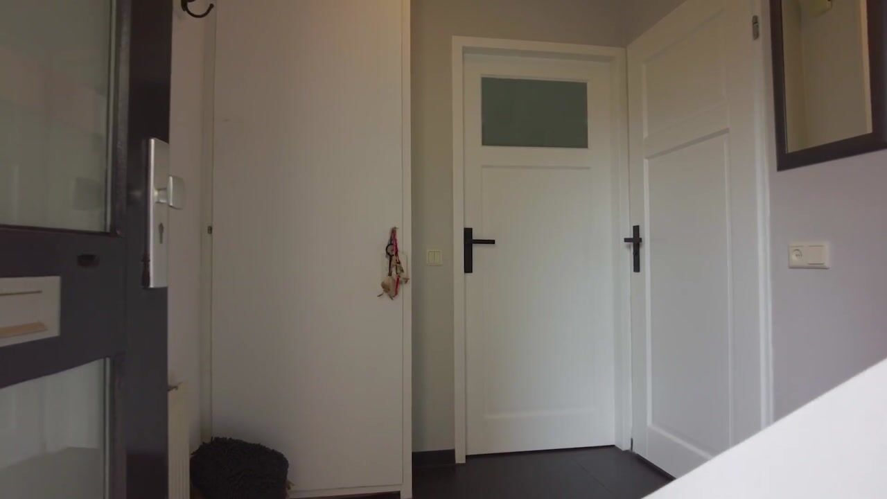 Video van Lavendelberg 51