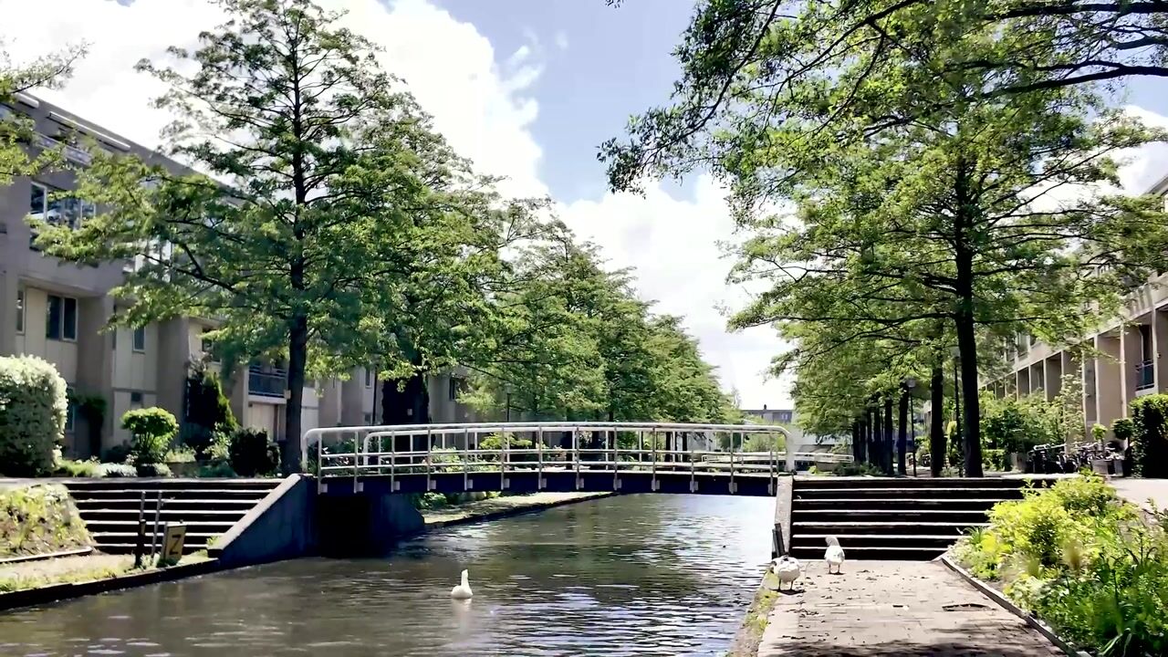 Video van Charta 77-Vaart 57