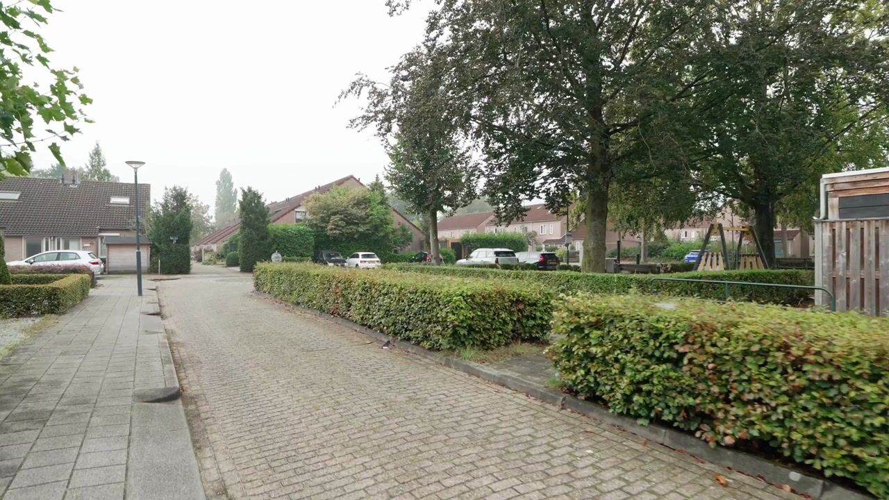 Video of Kievit 60