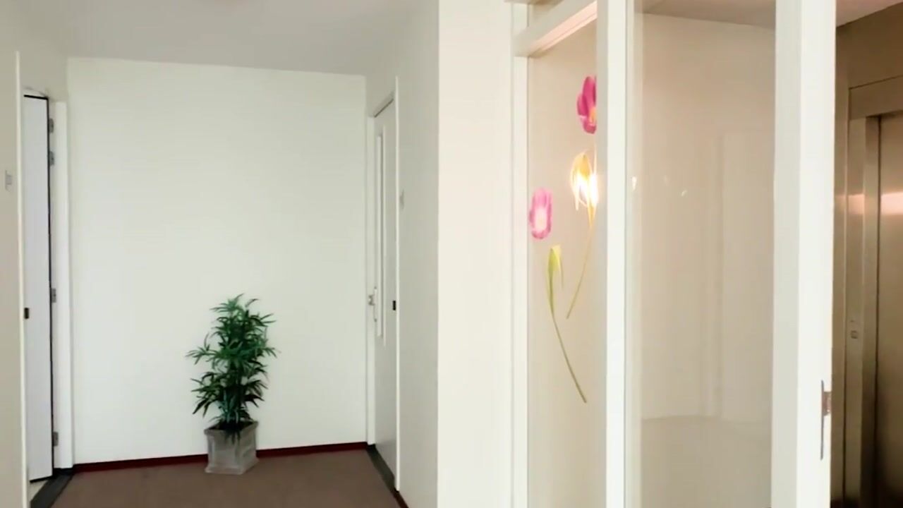 Video van Hofstraat 53