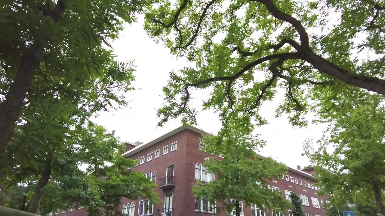 Video van Abraham Kuyperlaan 50-A02