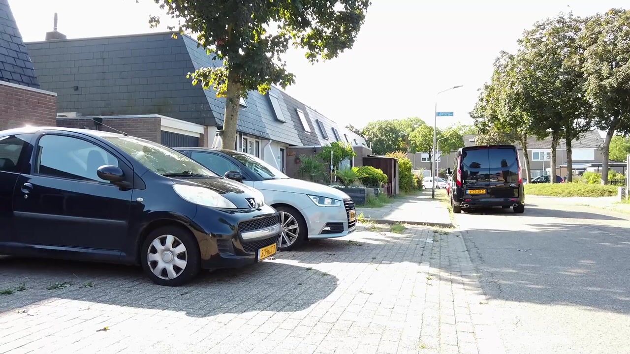Video van Zwanenveld 3520