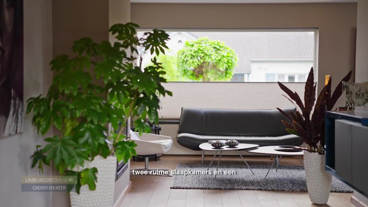 Video of Limburgerstraat 48