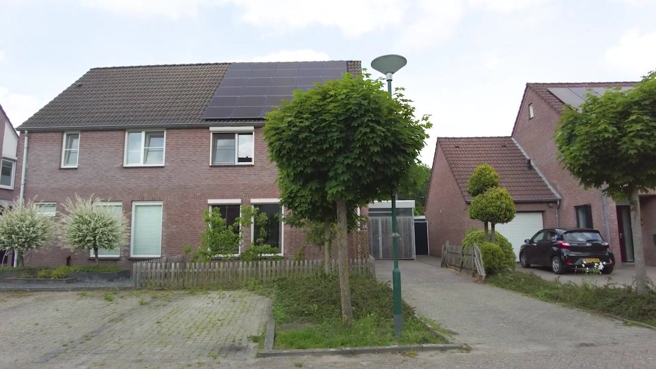 Video van Steenovens 101