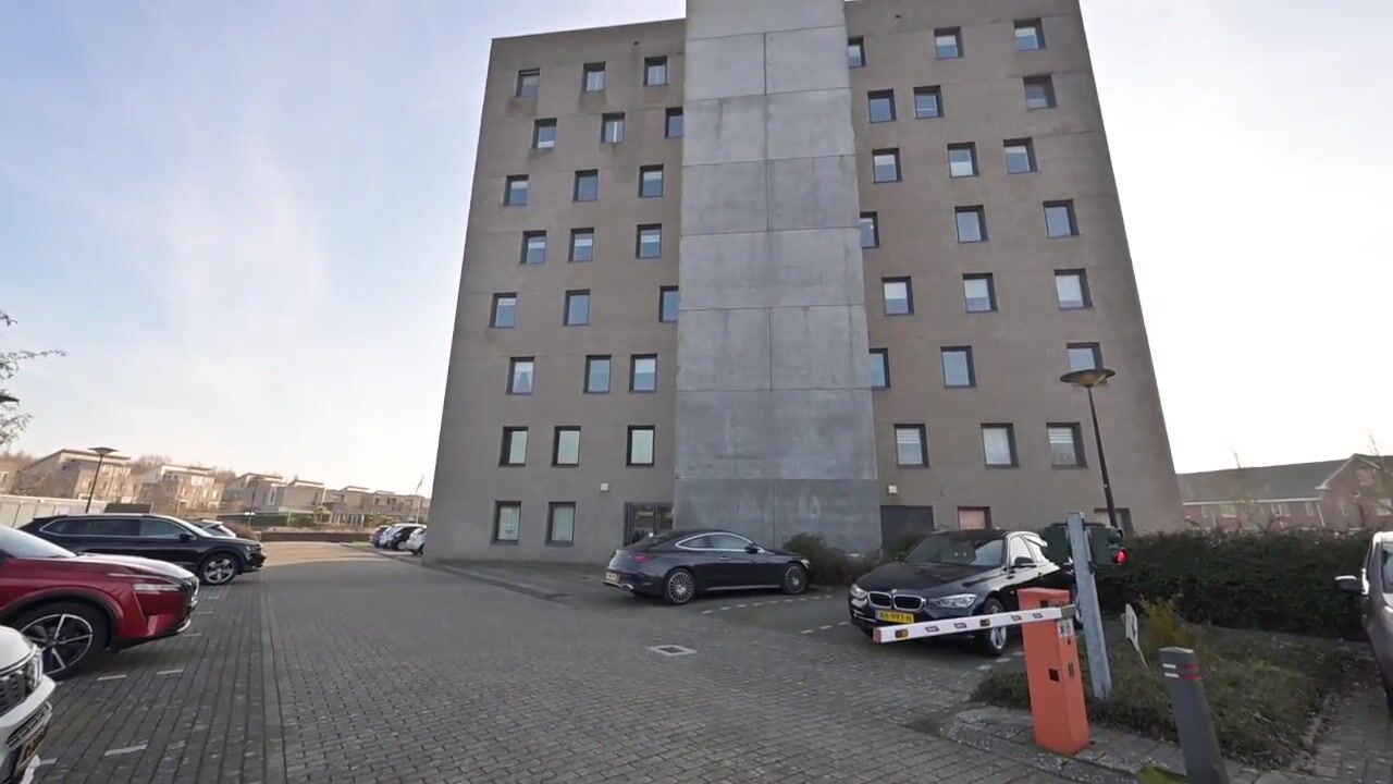 Video of Razende Bol 25