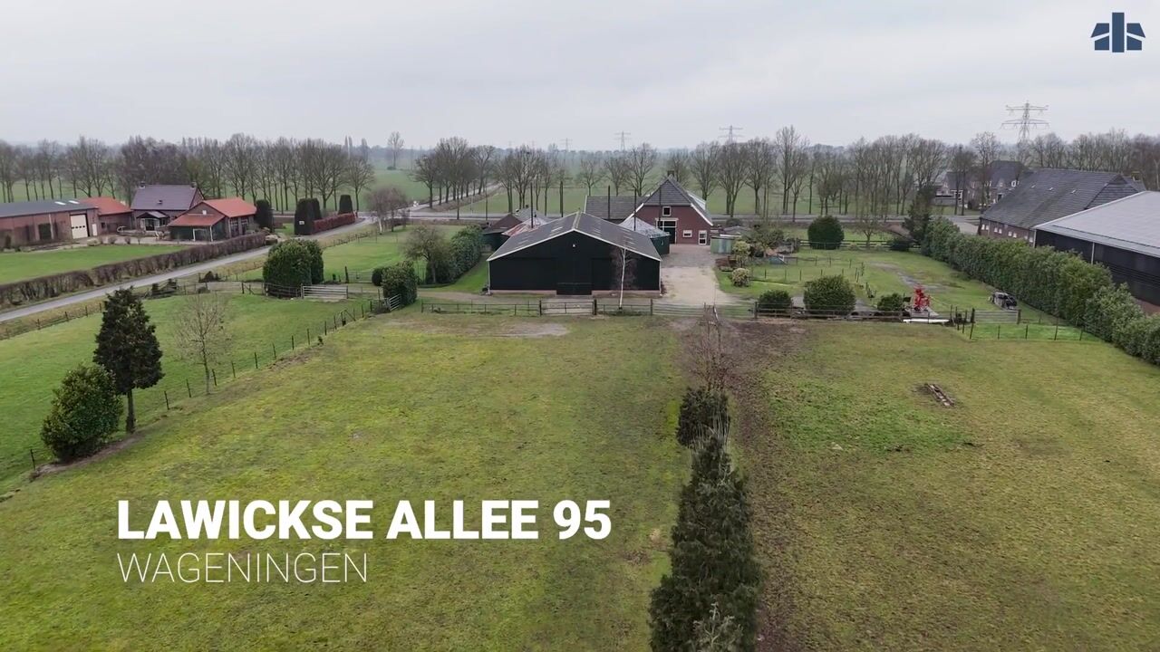 Video van Lawickse Allee 95